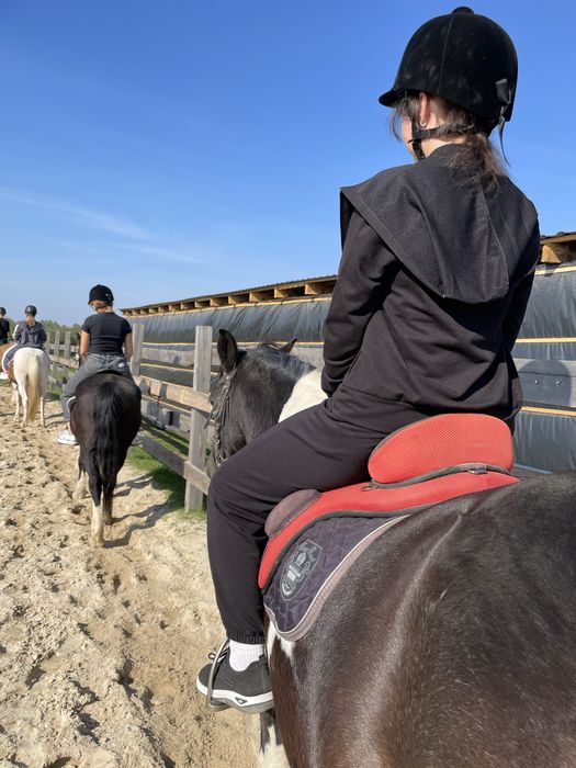 Верхова їзда Луцьк