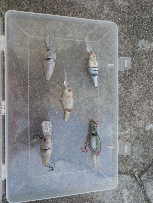 Amostras de pesca personalizadas