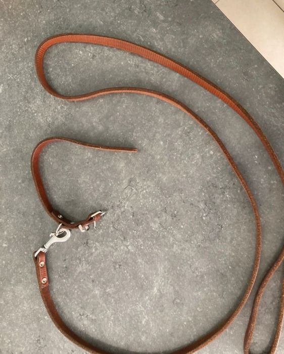 Trela e coleira em pele para cão pequeno