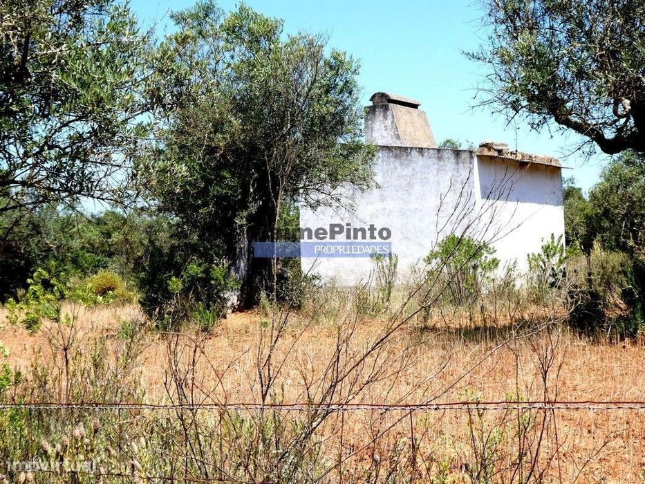Quinta 1,9ha, com armazém de apoio agrícola. Portugal, Alentejo, Po...