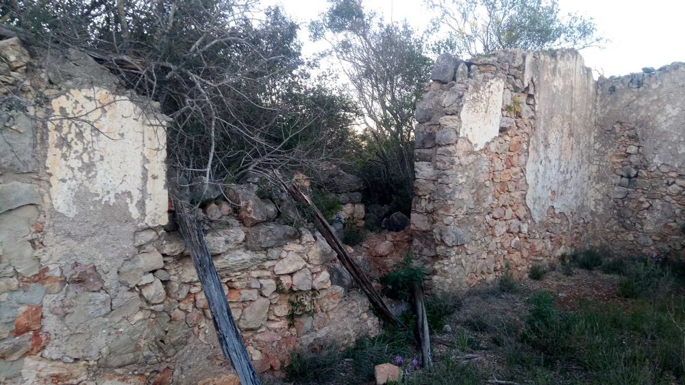 Terreno 4,6 Hect, ruína 120m2, Aldeia dos Matos, Paderne, Albufeira