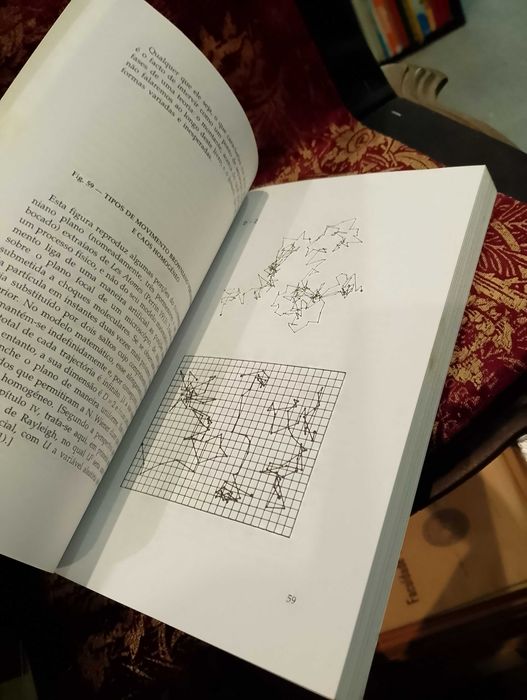 Objectos Fractais - Benoît Mandelbrot