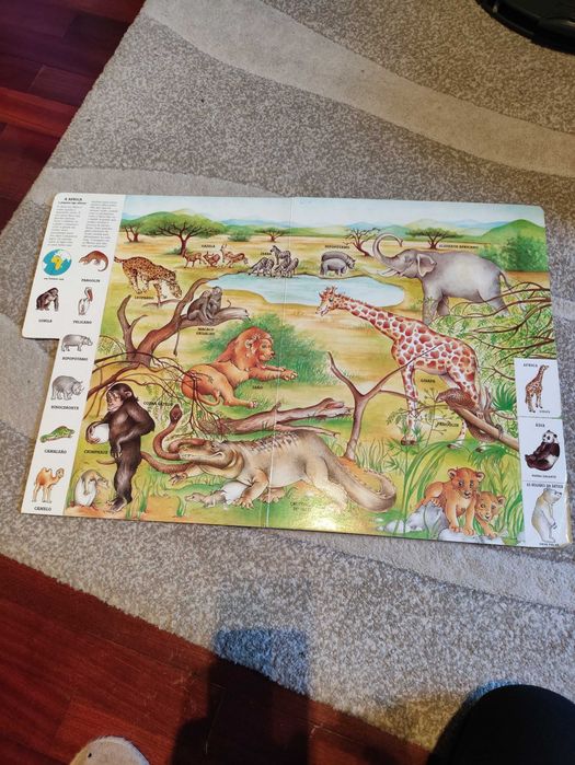 Livro infantil animais