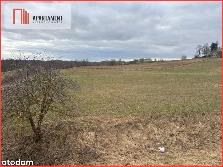 Działki z potencjałem  - Liniewskie Góry