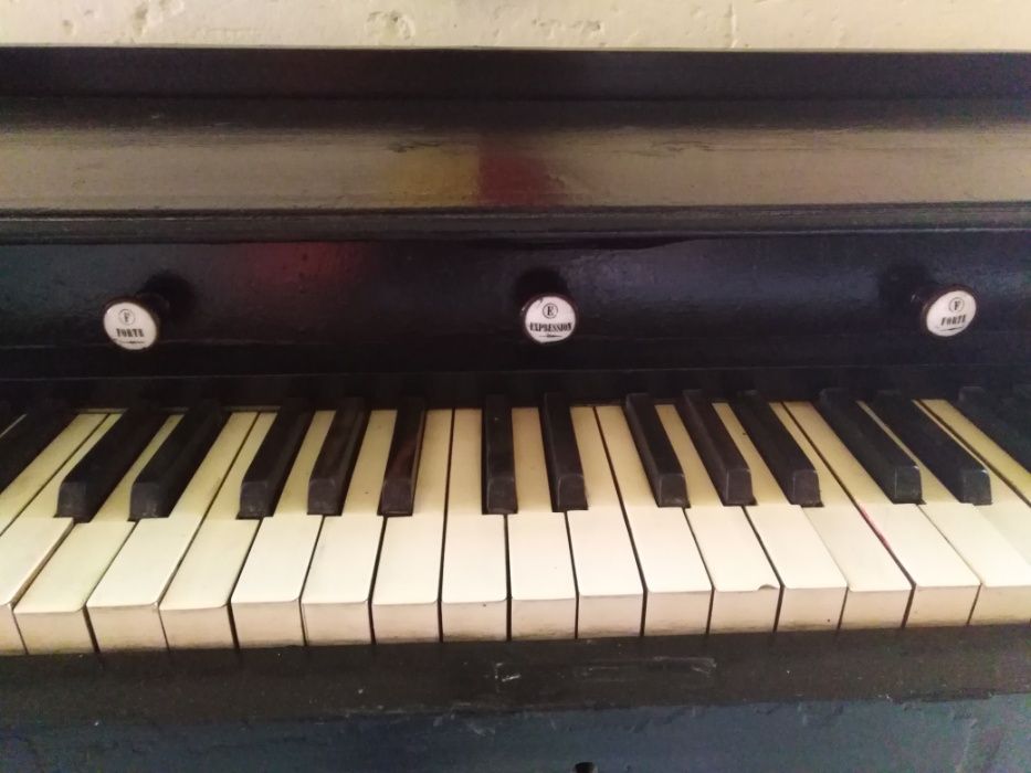 Fisharmonia zabytkowa lwowska.