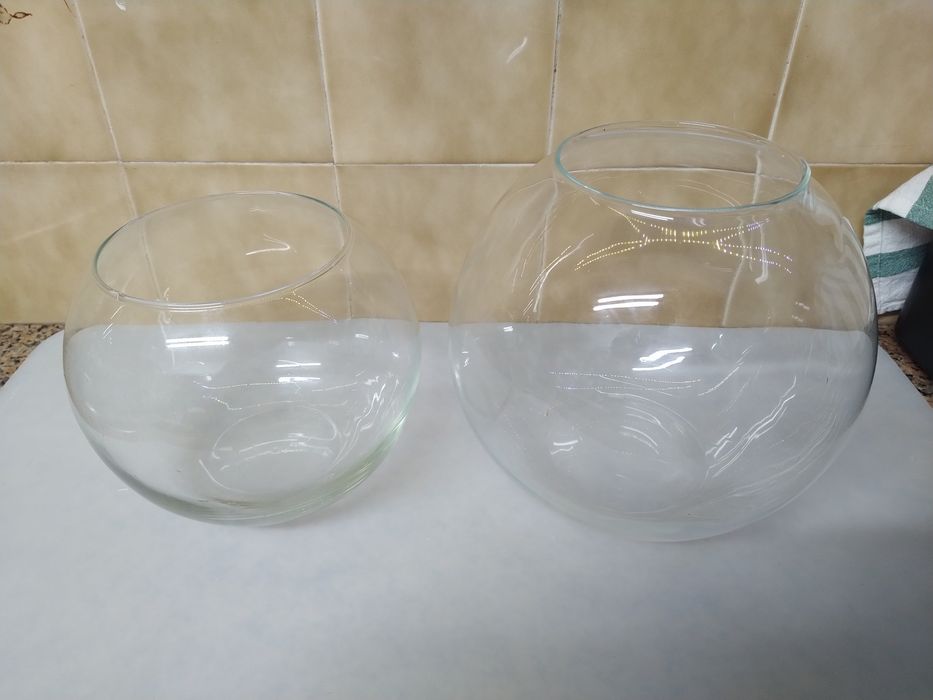 Aquário taça de vidro terrário vaso jarra casa quarto apartamento.