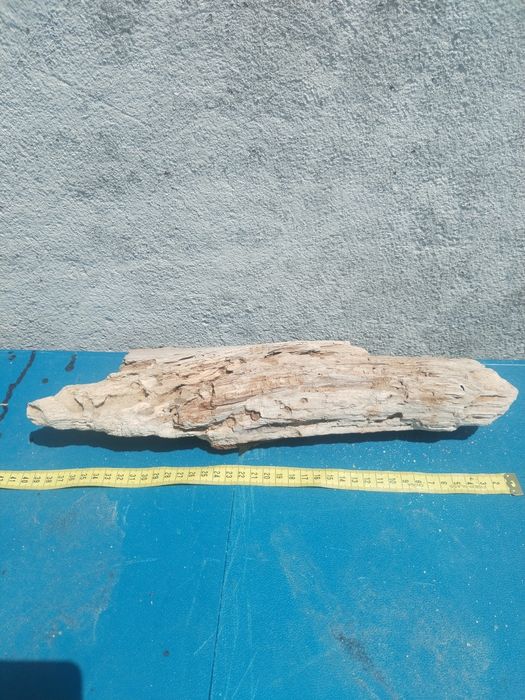 Troncos de deriva / para aquário