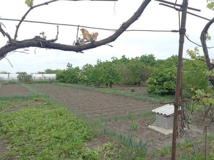 Продам 2дома на одном участке в Яськах у воды