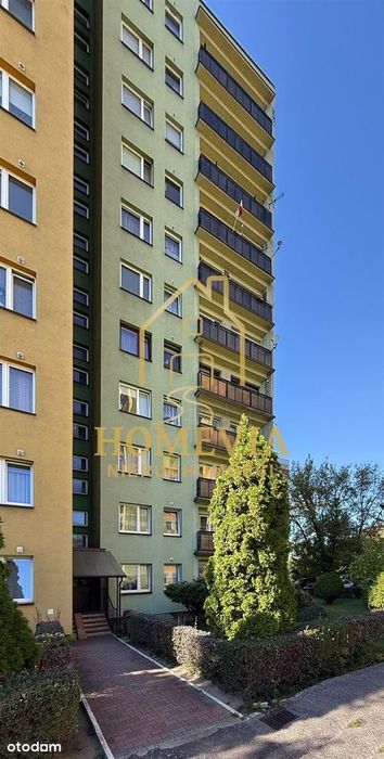 Jasne wnętrze, panoramiczny widok | Gołonóg