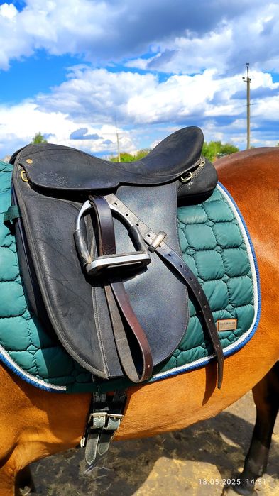 Сідло для коня Wintec Pro Feldmann. Коні , кобила