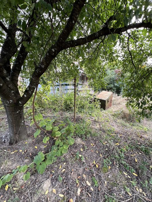 Продається земельна ділянка