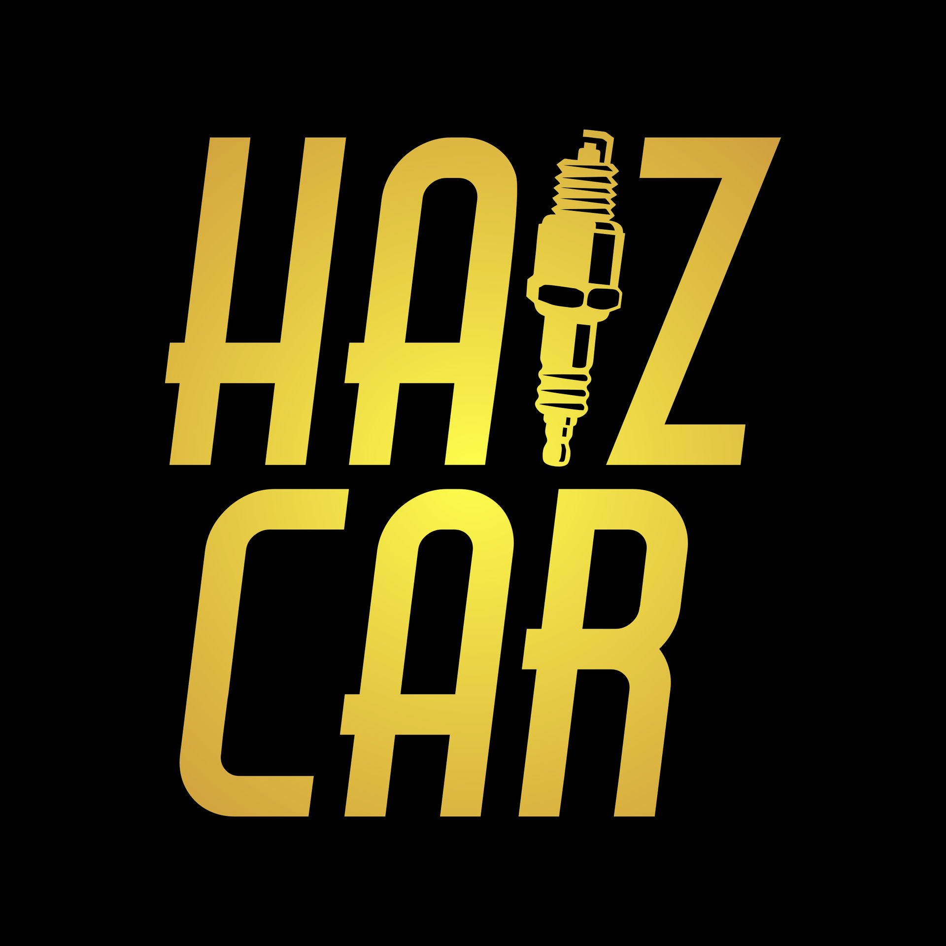 Haiz Car top banner