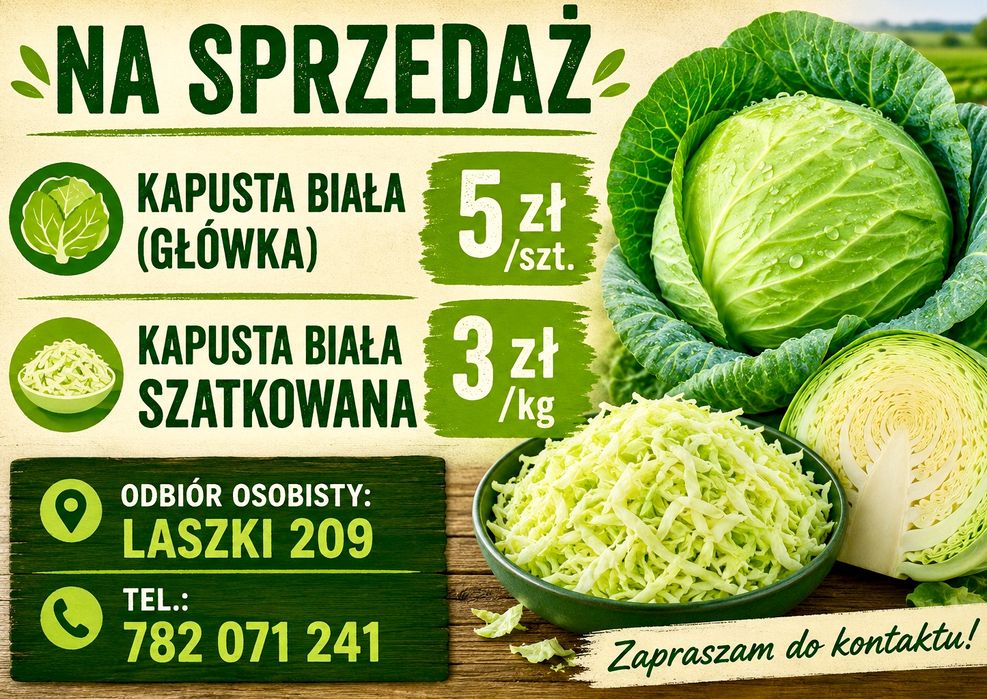 Kapusta biała główka oraz szatkowana