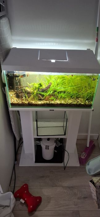 Sprzedam akwarium 54L – kompletny zestaw,