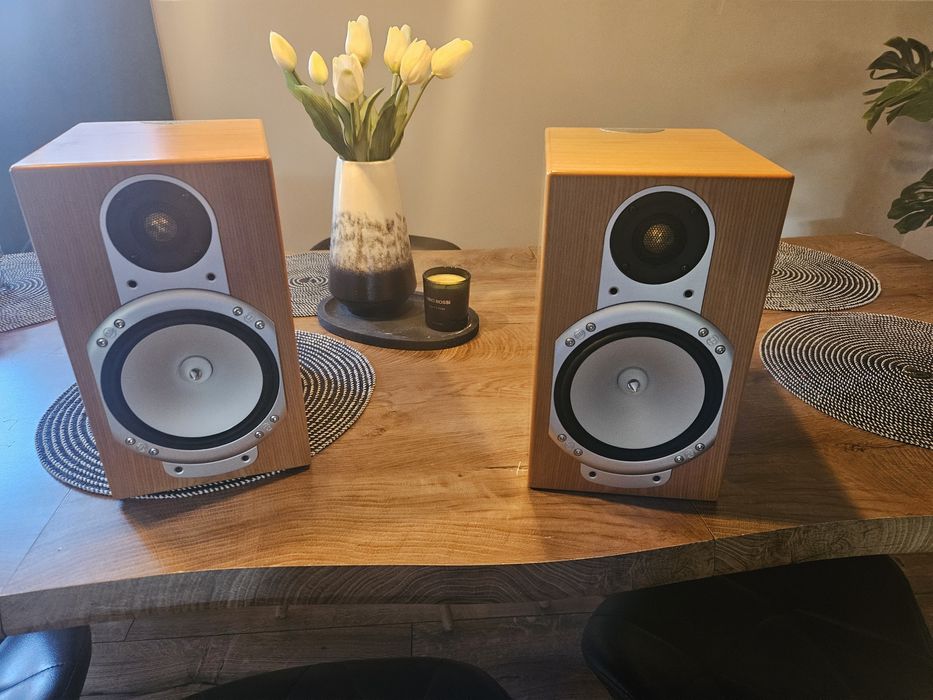 Monitor audio silver rs1