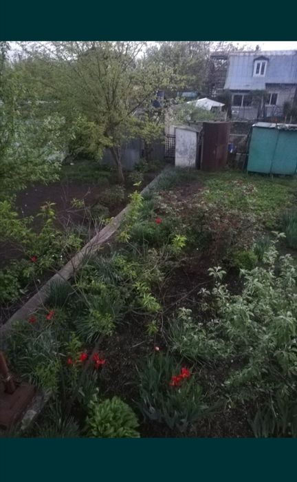 Дача з цегляним будинким кооператив Озон