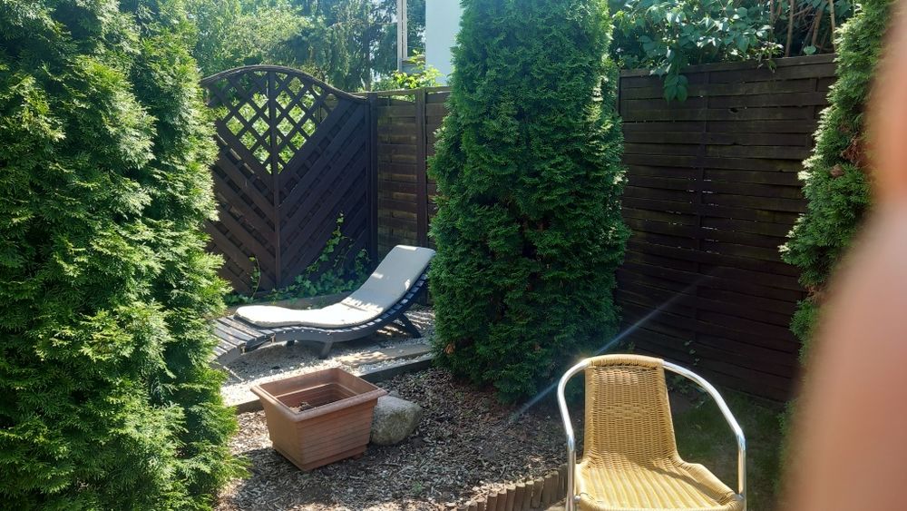 Działka ROD ,,Zacisze'' 272 m² - Widok 5