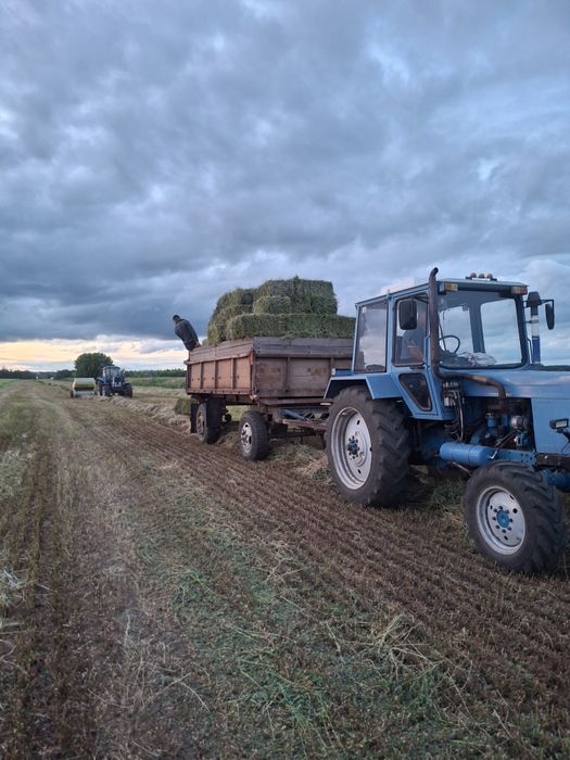 Продам сіно люцерну