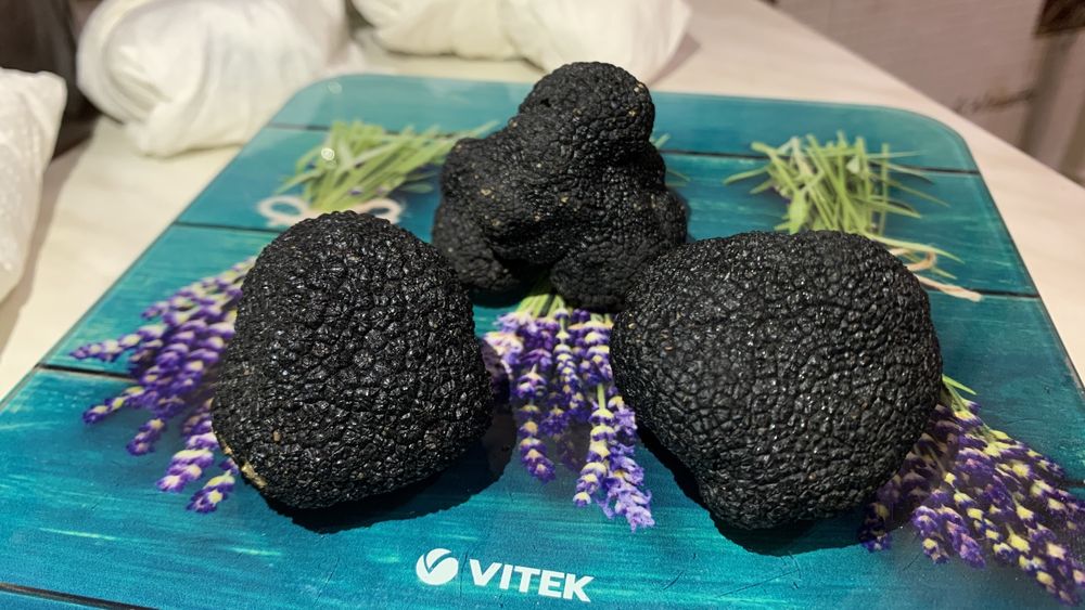 Трюфель Італія чорний свіжий, гриб черный, Tuber Melanosporum