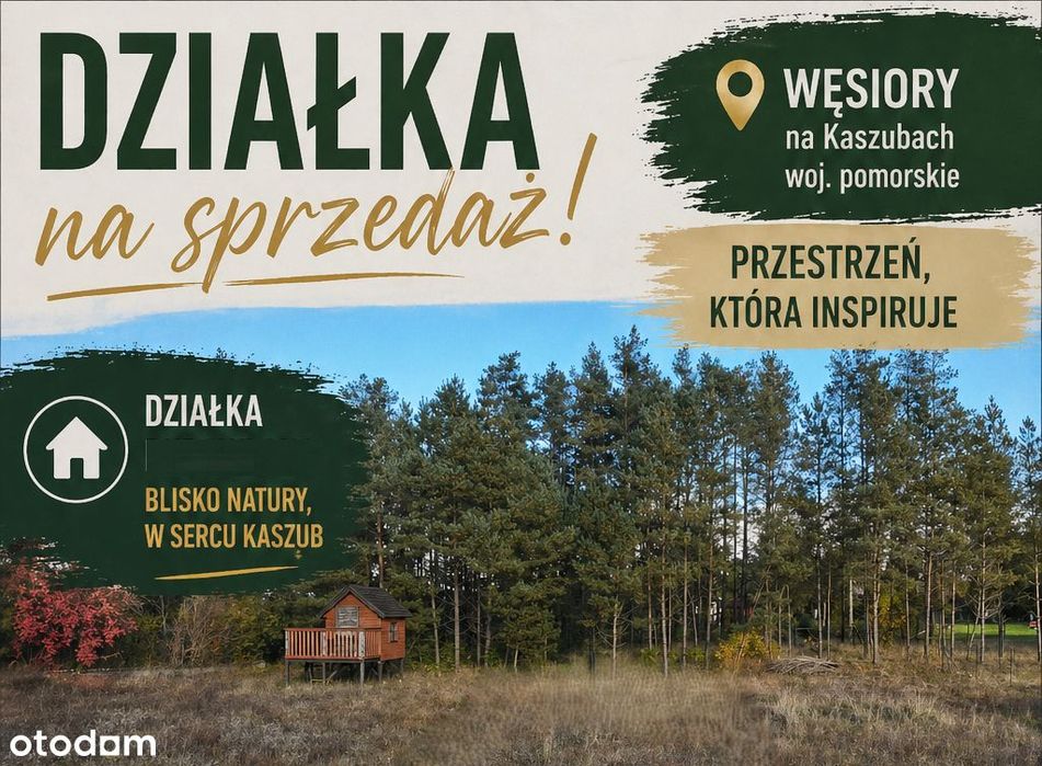 Działka Z Projektem Na Kaszubach – W Otoczeniu Jezior I Lasów!