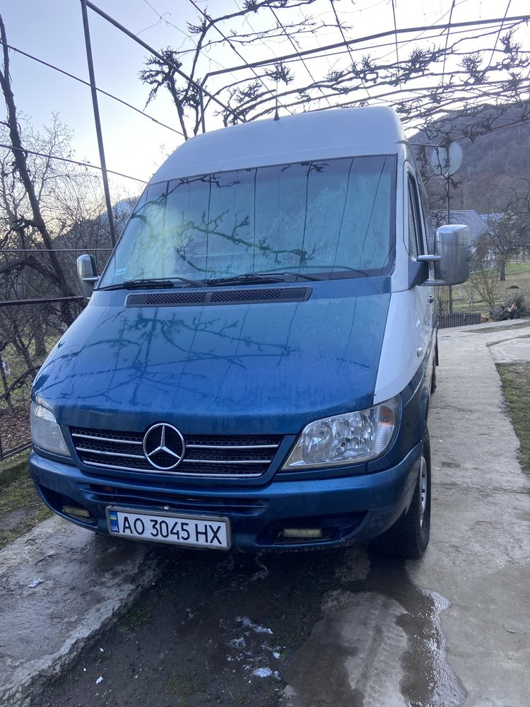 Sprinter 311 olx on sale