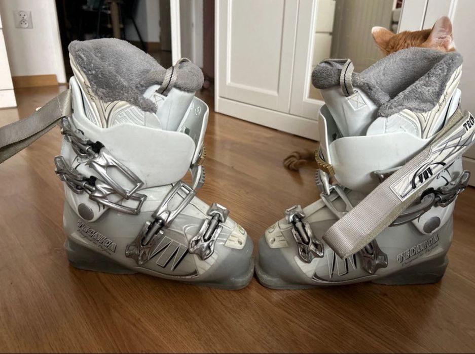 Buty narciarskie damskie