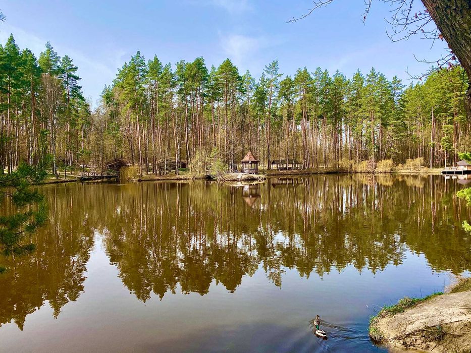 Продаж земельної ділянки під забудову у с. Пилиповичах Бородянського р - Vaade 5