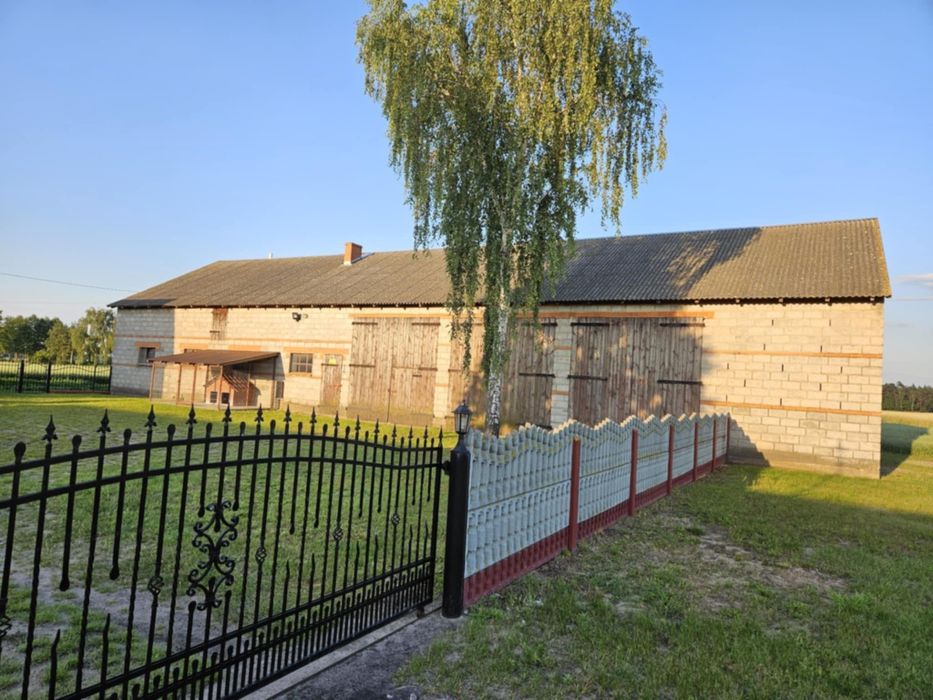 Gospodarstwo Rolne- dom, budynki gospodarcze