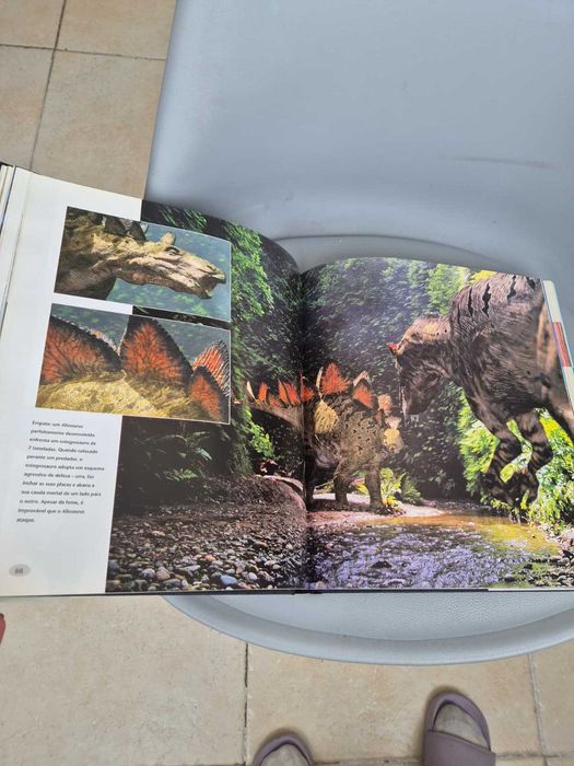 Livro de Capa Dura "O Tempo dos Dinossauros" de Tim Haines, Bom Estado