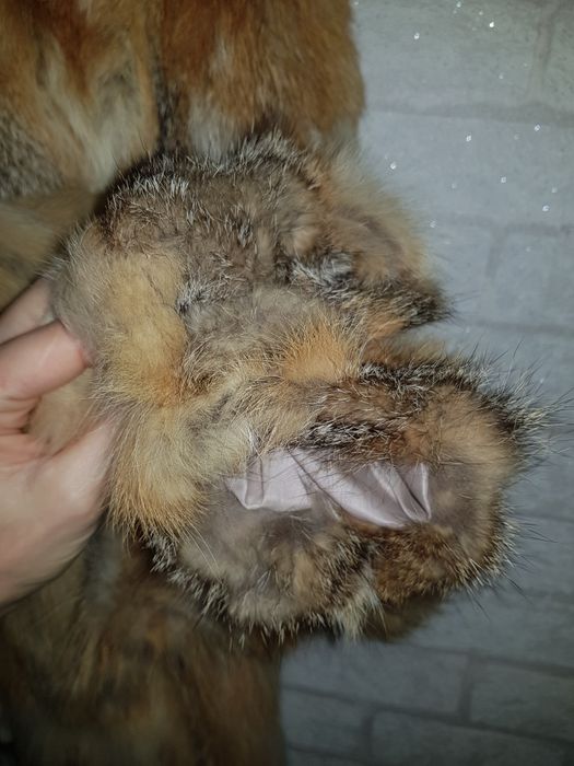 Шубка хутро лисиці