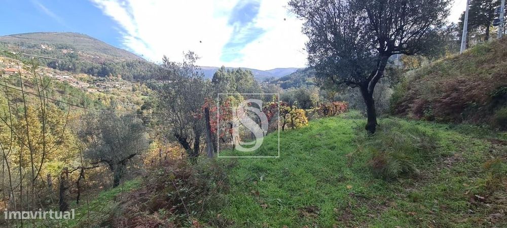 Terreno  Venda em Candemil,Amarante