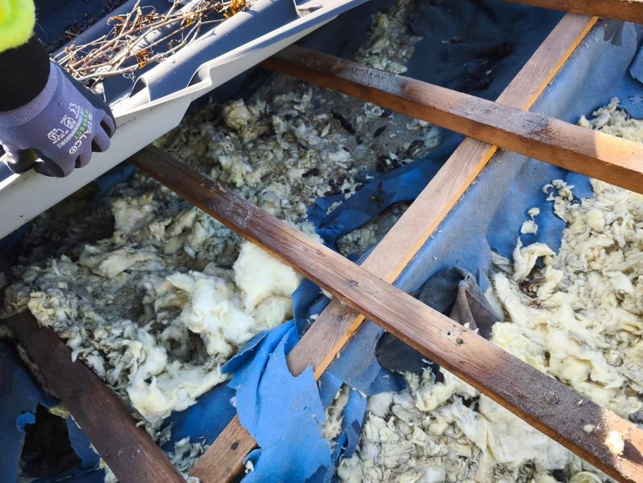 Naprawy dachów po kunach / kuna na dachu /  Izolacje pianą i celulozą