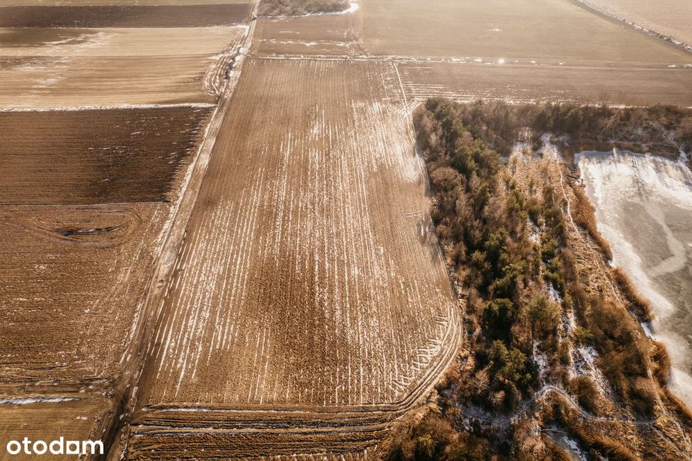 Na sprzedaż grunty rolne–Lenartowice gmina Pleszew