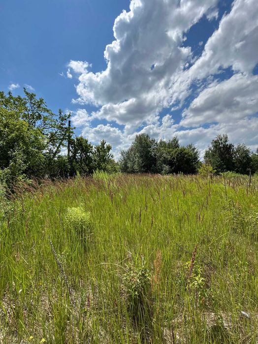 Продається дачна ділянка з будиночком у СТ "Лаванда", Березанка RD