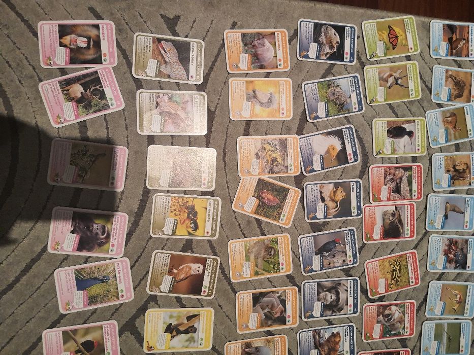 Super animais 1 completa