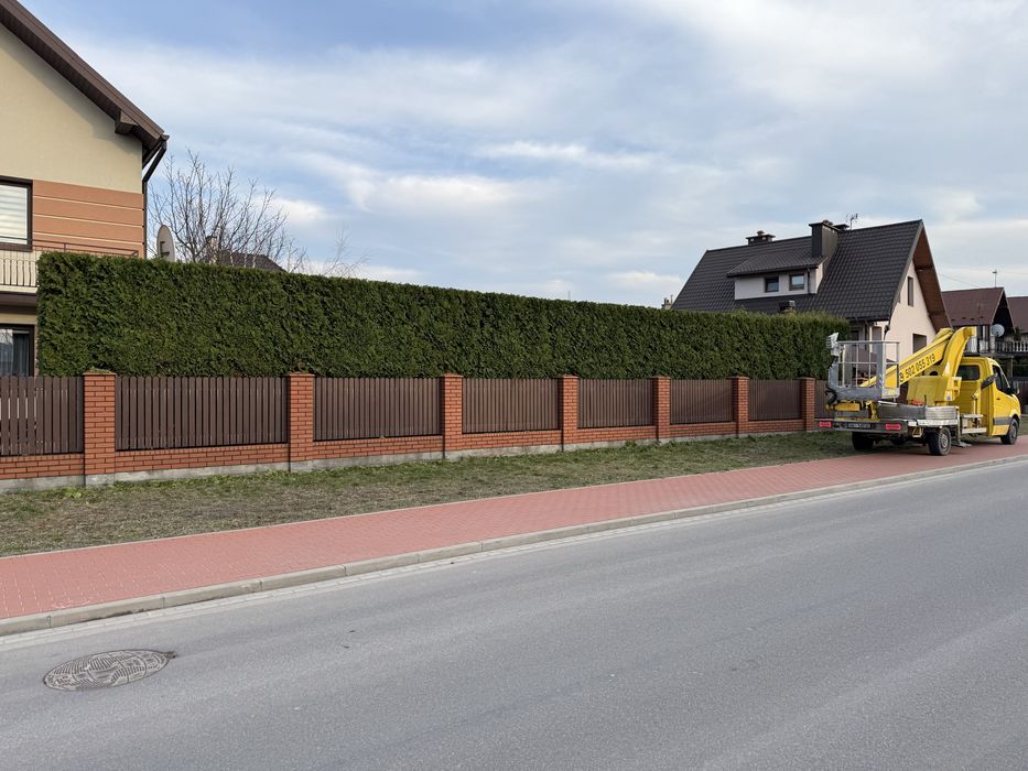 OGRODNIK//Usługi ogrodnicze  /// formowanie żywopłotów