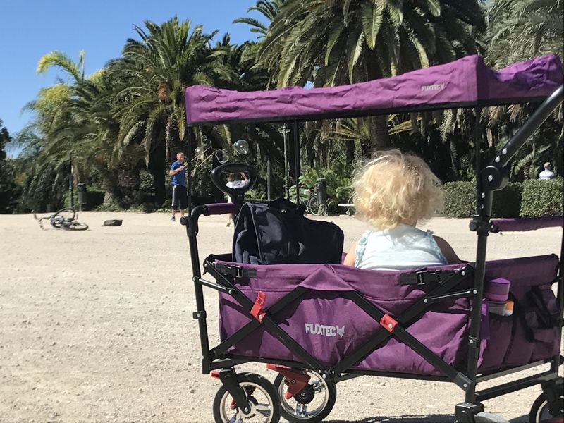 Wózek wielofunkcyjny składany Fuxtec ct700 2w1