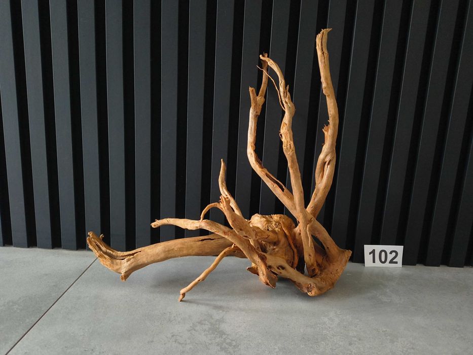 korzeń Red Moor Wood 102 ROTALA Japoński akwarium terrarium 41x43x19