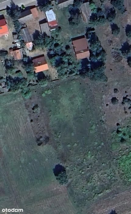 Siedlisko z potencjałem na Podkarpaciu – blisko natury, z dużą działką i zabudową gospodarczą - View 3