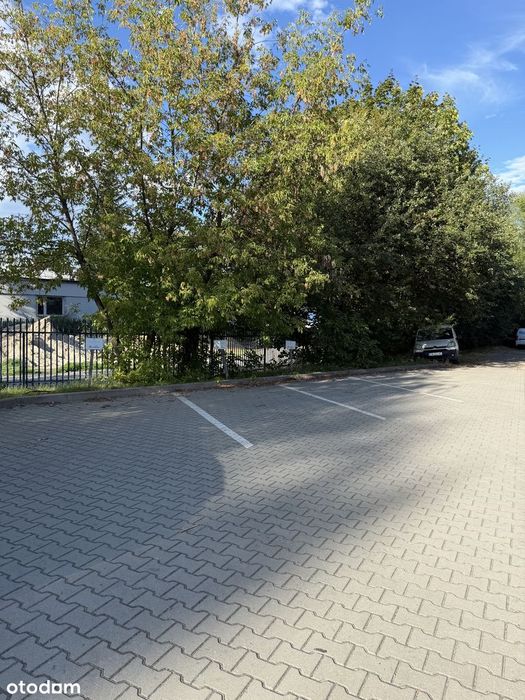 Zdjęcie 6