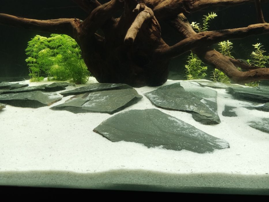 Areia Sílica aquário, excelente qualidade, várias medidas disponíveis.