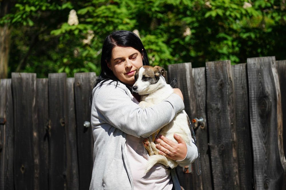 Korek - malutki, roczny piesek szuka domu