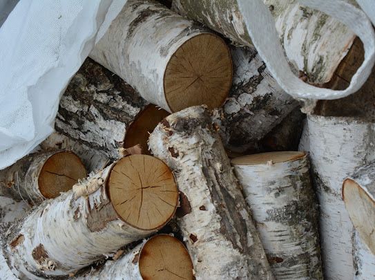 Ładny opał brzozowy