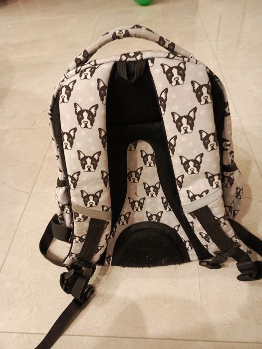 Plecak COOLPACK pies buldog francuski stan bardzo dobry