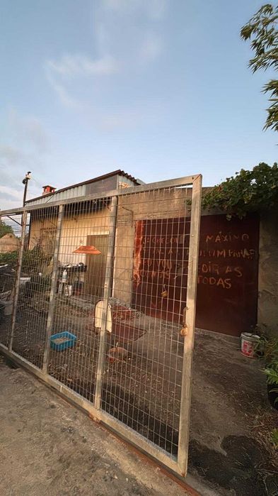 Terreno misto em Santo Izidro de Pegões com 4.2 hect, com furo e 30.000 L/h de agua.