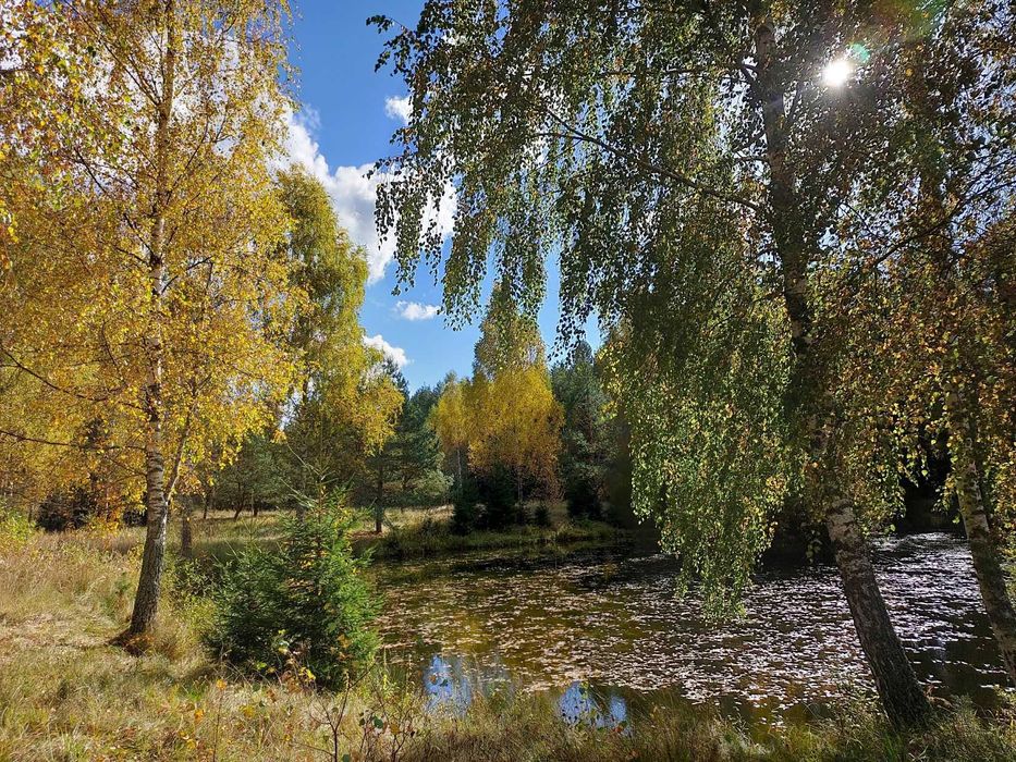 Piękna działka z własnym stawem. Miejscowość Walne.