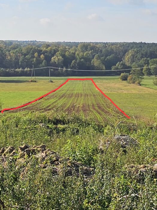 Sprzedam działkę budowlano-rolną 0.89ha. Lipa gmina Ruda Maleniecka - Widok 3
