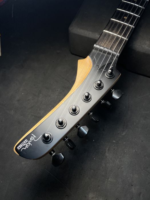 Gitara elektwyczna do nauki i dla profejsonalisty doinwestowana parker