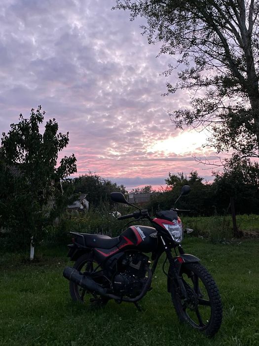 СРОЧНО Мустанг фості 150 срочно