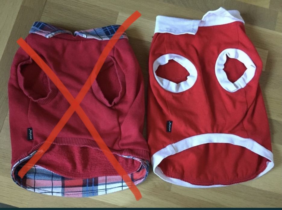 Bluza dla psa Amiplay